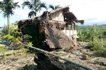 Habitatnya Terganggu, Kawanan Gajah Liar Serang Permukiman Warga