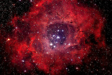 Nebula Rosetta.