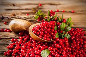 Melawan Infeksi Saluran Kemih dengan Ekstrak Cranberry, Apakah Bisa?