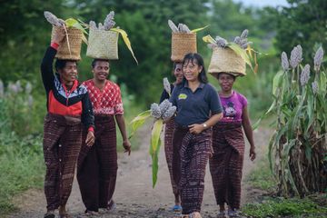 Maria Loretha (tanpa keranjang di kepala) berjalan bersama petani perempuan di Desa Likotuden.