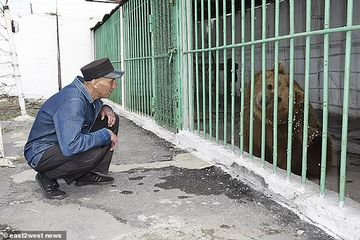 Ekaterina, beruang yang dipenjara di Kazakhstan.