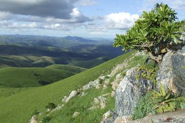 Barberton Makhonjwa Mountains.