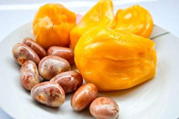 Jangan Dibuang, Biji Nangka Ternyata Memiliki Manfaat untuk Kesehatan