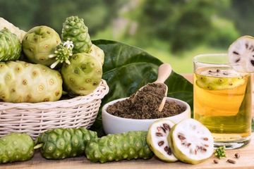 Enggak Kalah dari Obat, Jus Mengkudu Ternyata Ampuh Atasi Penyakit Berbahaya Ini! Intip Faktanya
