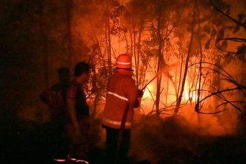 Diduga Lalai Hingga Akibatkan Kebakaran Lahan, KLHK Segel 7 Perusahaan Ini. Salah Satunya, Milik Negara Tetangga Kita