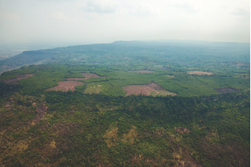 Kota Kuno Peninggalan Kekaisaran Khmer Ditemukan di Hutan Kamboja 
