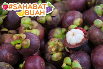 Dikenal Sebagai Ratu Buah, Buah Manggis Ternyata Punya Segudang Manfaat! Dari Cegah Jerawat Hingga Lawan Kanker. #SahabatBuah Harus Tahu!