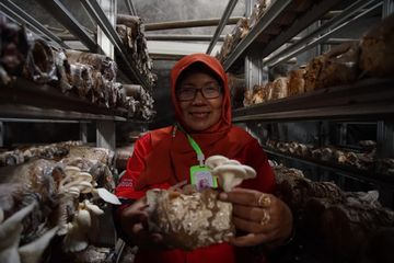 Rumdani Prapti Sumiwi, penggagas budidaya jamur di desa Kemiren Asri.