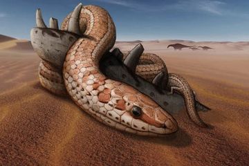 Penemuan Fosil di Argentina Ini Ungkap Rahasia Evolusi Ular 