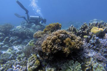 Selayar dan Taman Nasional Taka Bonerate berada di kawasan Coral Triangle Initiative (CTI).