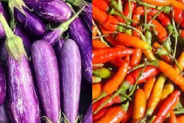 Berita Terpopuler Hari Ini, Dari Bahan Makanan untuk Usir Tikus Sampai Sayuran yang Bisa Picu Penyakit Mematikan Jika Dimakan Mentah