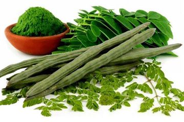 Biaya Rumah Sakit Mahal, Mending Makan Daun Kelor Setiap Hari, Dijamin Tidak Akan Lagi Bertemu dengan Dokter