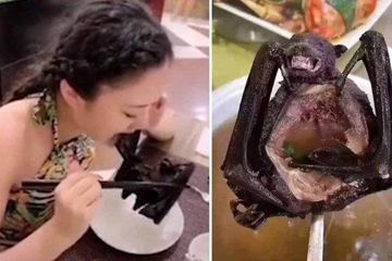 Terungkap Nasib Wanita yang Viral Akibat Makan Sup Kelelawar di Tengah Wabah Corona, "Aku Tidak Tahu Kelelawar Jadi Pembawa Virus'