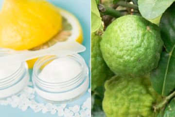 BERITA TERPOPULER, Manfaat Irisan Lemon dengan Taburan Garam Sebelum Tidur Sampai Manfaat dari Jeruk 'Berkutil'