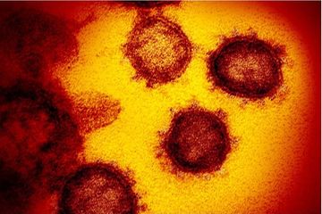 Sejumlah Ahli Sebut Ada Keanehan pada Struktur Virus Corona dan Dua Jenis Virusnya, Beri Peringatan Keras:  Hati-hati Dalam Menangani Virus Ini