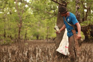 masyarakat Semanting memancing di kawasan mangroove