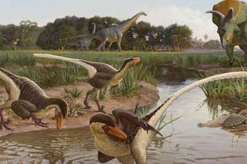 Ilustrasi dari Dineobellator notohesperus. Dinosaurus berbulu yang hidup di akhir jaman dinosaurus.