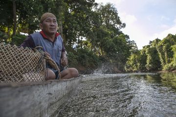 Desa Adat Setulang memiliki hutan yang dikelola secara adat, yakni Tane Olen yang luasnya mencapai sekitar 5.300 hektare. Untuk menuju hutan hujan tropis ini kita dapat menaiki perahu sampan bermesin 15 pk.