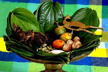 Jadi Budaya Nenek Moyang Sejak Dulu, Benarkah Makan Sirih Bisa Memicu Penyakit Serius?