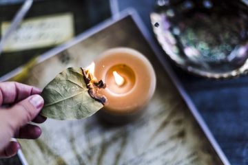 Tak Perlu Buang Uang Demi Beli Obat, Coba Bakar Daun Salam di Dalam Ruangan, Manfaat Ajaib ini akan Dirasakan Tubuh