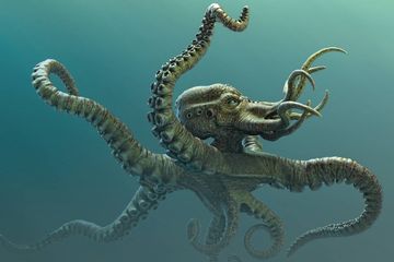 Ilustrasi Kraken