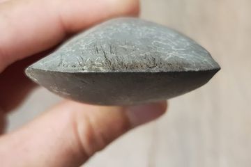 Kapak batu adalah alat penting untuk membuka hutan dan membuat kano. 