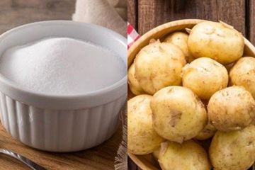 Coba Gunakan Baking Soda dan Sari Kentang Lalu Oles ke Lutut dan Siku, Efeknya Bikin Takjub Banget!