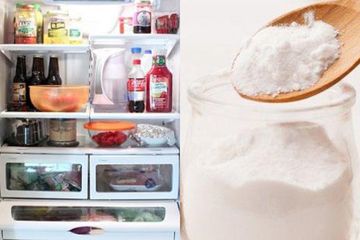 Coba Taruh Baking Soda di Dalam Kulkas dan Diamkan Seharian, Siap-siap Kaget Lihat Efeknya yang Diluar Dugaan!