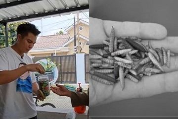 Demi Uang Rp250 Ribu, Karyawan Baim Wong Nekat Makan Belatung
