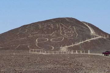 Geoglyphs Nazca kucing di Peru.