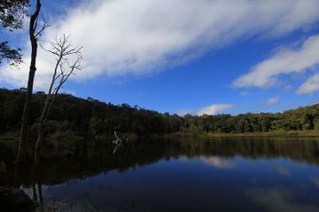 Suasana Danau Tambing di kawasan Lore Lindu.