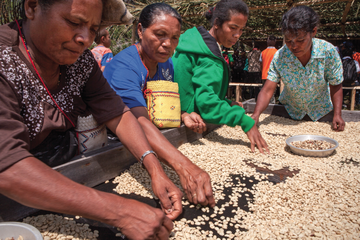 2050 hingga 2100, Kita Kekurangan Kopi dan Pasokan Pangan Bergizi