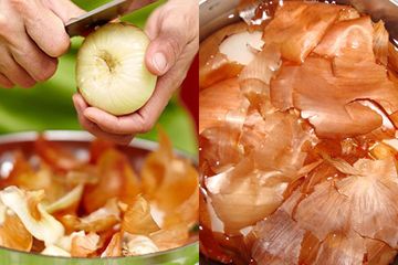 Rugi Kalau Dibuang, Coba Semalaman Rendam Kulit Bawang Bombay Lalu Siram ke Tanaman, Hasilnya Pasti Gak Akan Buat Kecewa