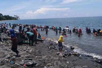 Heboh Warga Dulang Emas di Pantai Maluku, Ahli Geologi Angkat Bicara
