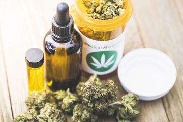 Riset Terbaru Ungkap Efek Senyawa Ganja dalam Redakan Rasa Sakit