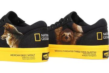 Kiprah Sepatu Vans Sebagai Sepatu Skate Populer Sepanjang Masa