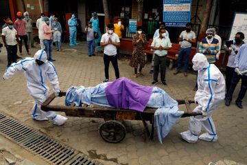 Belum Selesai Kasus Covid-19, India Kini Dihadapkan dengan Infeksi Jamur Hitam yang Mudah Menyebar di Tubuh