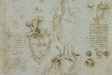 Sebuah sketsa jantung manusia yang dibuat oleh Leonardo Da Vinci. Kini, para meneliti menyingkap hasil studinya tentang anatomi manusia. 
