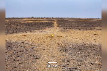 Berkat Google Earth. Keberadaan Geoglyph Terbesar di Dunia Terungkap