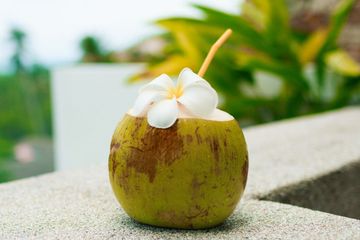Minum air kelapa baik untuk kesehatan, salah satunya bisa cegah batu ginjal.