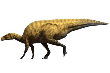 Paleontolog Mengidentifikasi Spesies Dinosaurus Baru di Spanyol