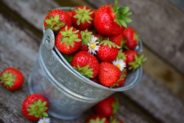 Menu Diet Strawberry, Buah Rendah Kalori Ini Ternyata Ampuh Buat Berat Badan Jadi Turun dan Bikin Pencernaan Lancar!