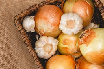 Sederet Manfaat Kulit Bawang Bombay untuk Menyuburkan Tanaman