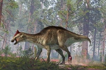 Punya Tumor dan Tulang Ekor Patah, Dinosaurus Ini Masih Tetap Hidup