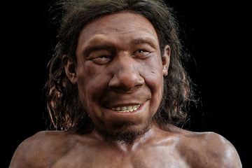 Penampakan Krijn, Neanderthal pertama yang ditemukan di Belanda.