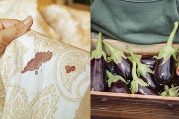 BERITA POPULER : Cara Menghilangkan Noda Bekas Menstruasi dengan Bahan Dapur Sampai Orang yang Dilarang Makan Terong