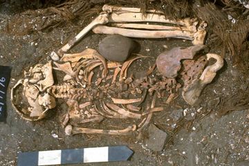 Kerangka berusia sekitar 6.000 tahun dari seorang remaja laki-laki dari Peru tampaknya mewakili kasus tertua yang diketahui dari seorang manusia yang dibunuh oleh hiu.