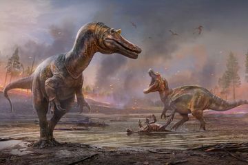 Fosil Dinosaurus Ceratosuchops inferodios Ditemukan di Inggris