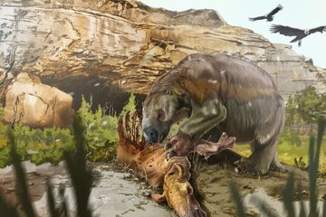 Ilustrasi kungkang purba raksasa, Mylodon darwinii.