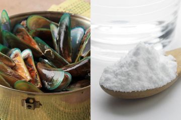 Pedagang Seafood Bongkar Rahasia! Cuma Pakai Air Garam untuk Rendam Kerang Hijau, Siap-siap Kaget Saat Lihat Hal Fantastis Ini Terjadi